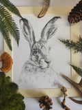 "Hetty the Hare" *SALE*