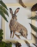 "Harry the Hare" *SALE*