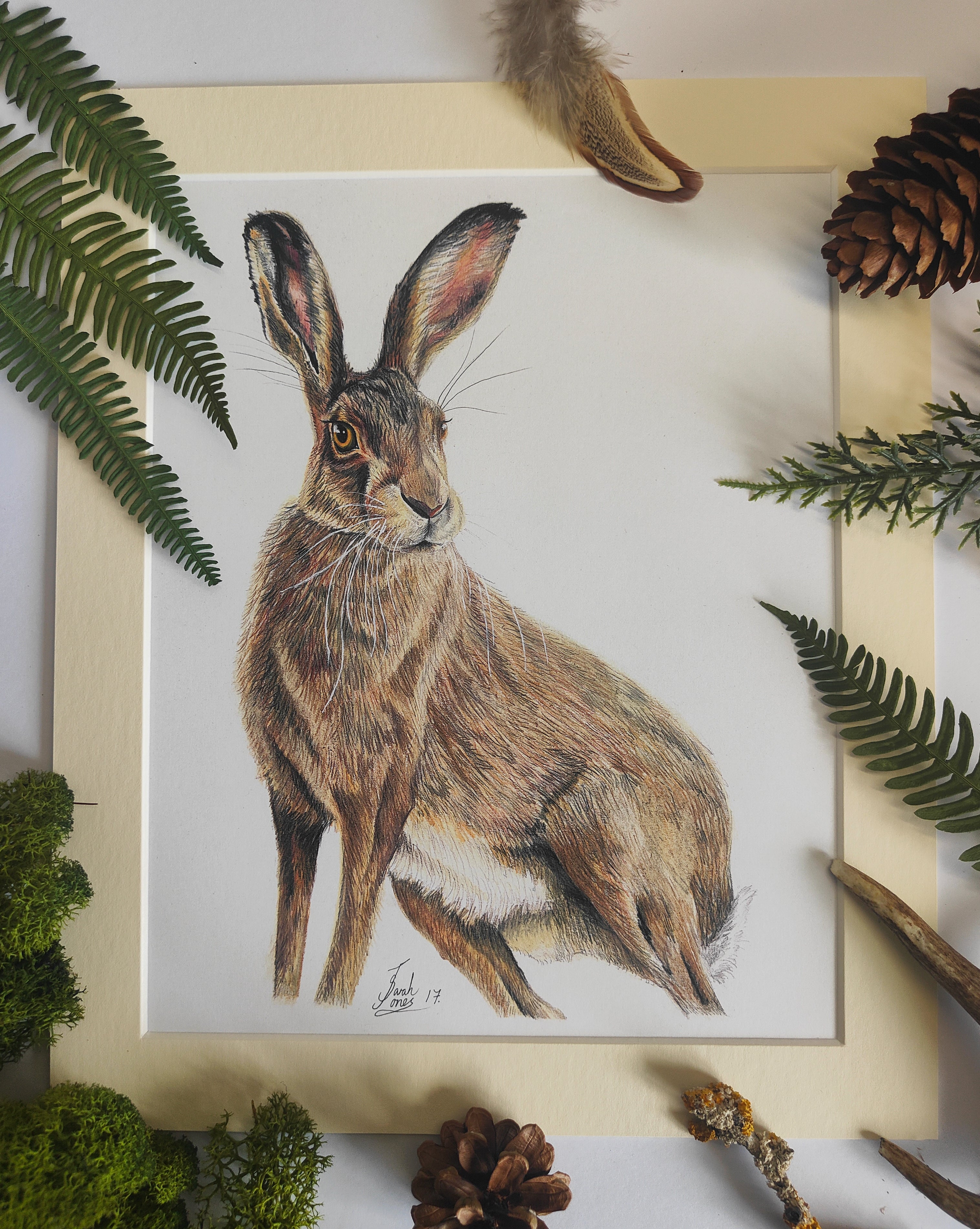 "Harry the Hare" *SALE*