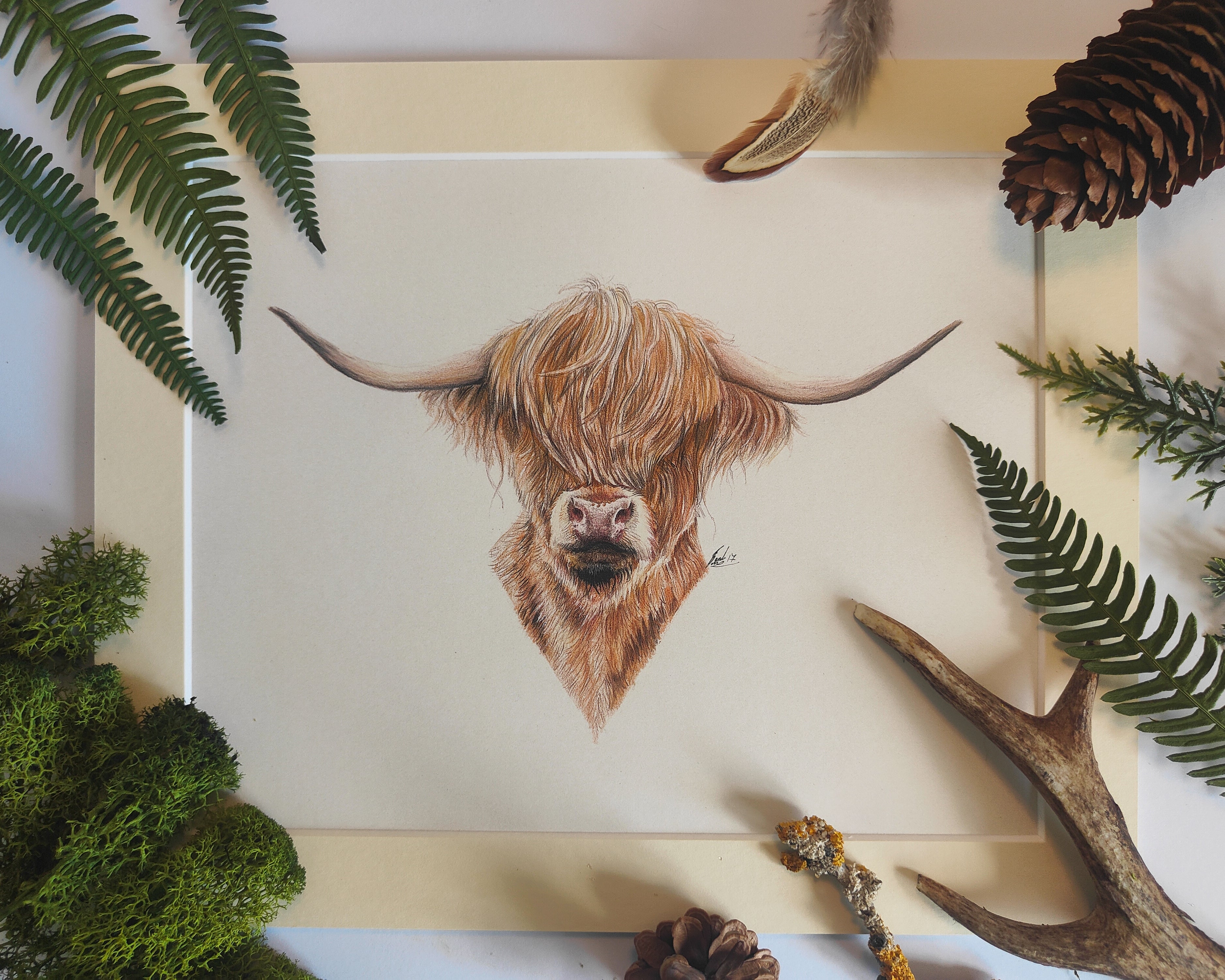"Hector the Highland" *SALE*