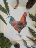 "Colin the Cockerel" *SALE*