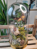 Large Roe Skull & Deaths Head Moth Dome