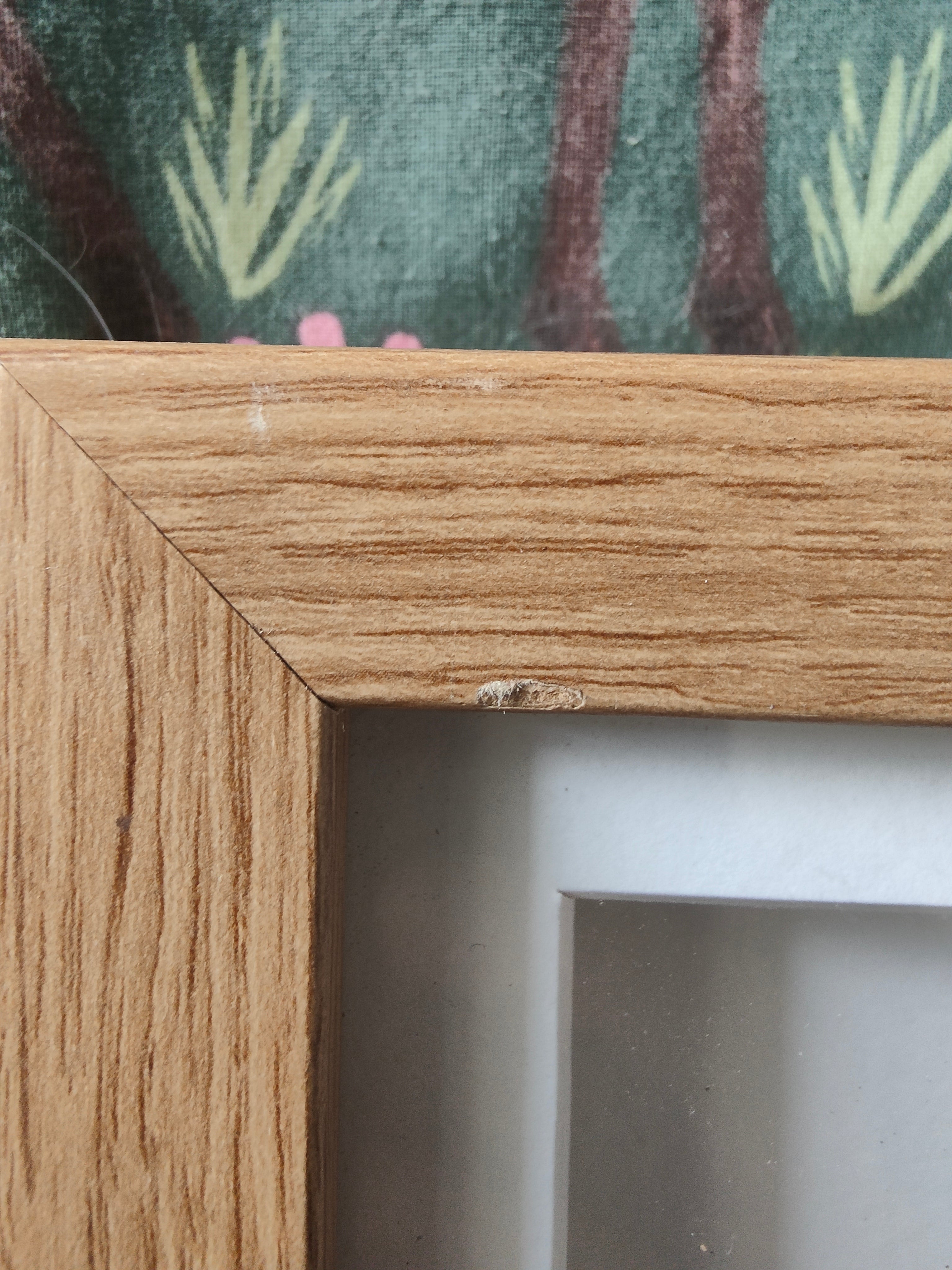 Saw Beetle Frame (Reduced  see description)