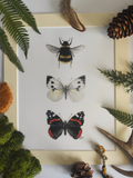 "Garden Visitors" *SALE*